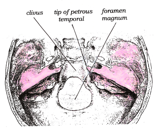 File:Clivus.png
