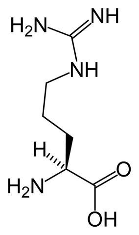 File:L-arginine-skeletal-(tall).png
