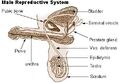 Thumbnail for version as of 23:26, March 2, 2007