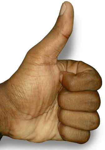 File:The Thumbs-up position.jpg