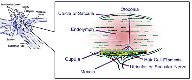 File:Bigotolith.jpg
