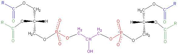 File:Diphosphatidyl-Glycerol.png