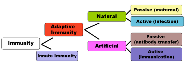File:Immunity.png