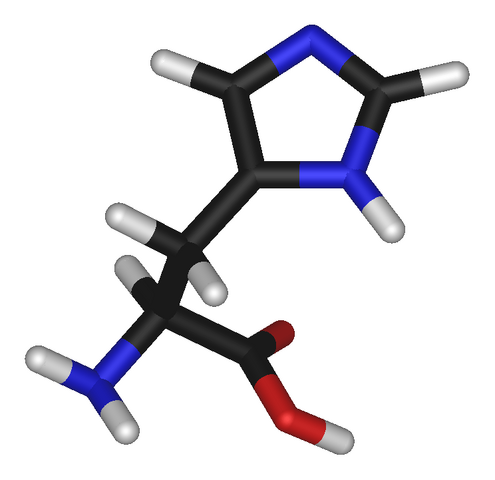 File:L-histidine-3D-sticks.png