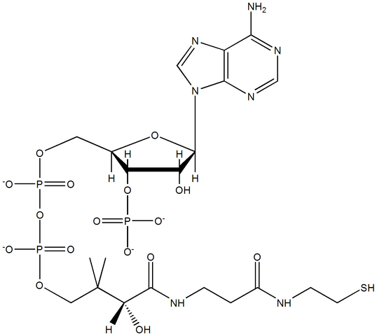 File:CoenzymeA.png