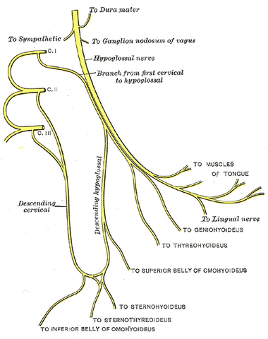 File:Gray795.png