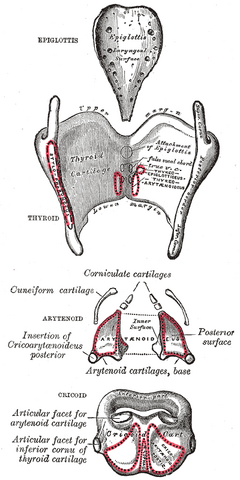 File:Gray950.png