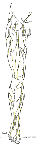 File:Gray825.png