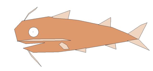 File:Catfish.jpg