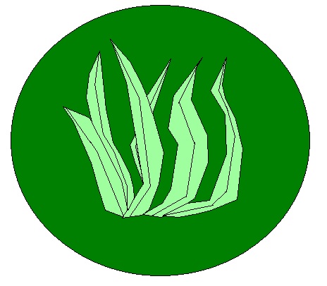 File:Grass.jpg