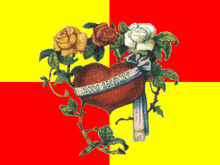 Bandeira-novabelmont