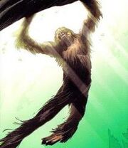 Chewbacca early life.jpg
