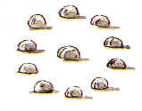 檔案:Brief05.jpg