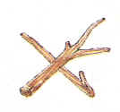 檔案:Brief03.jpg