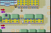 Saffron City