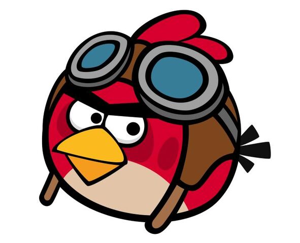 File:Red birds flight.jpeg