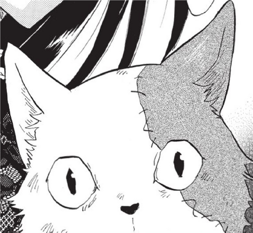 File:Seto.png