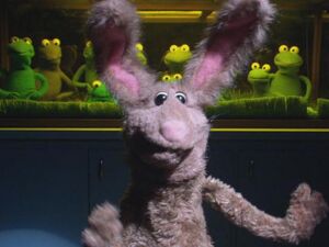 Jack Rabbit