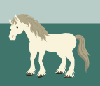 White horse