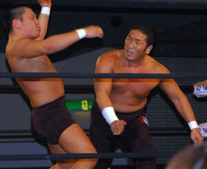 Tozawatrial01