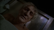 Wikia Daisies - Elderly Man