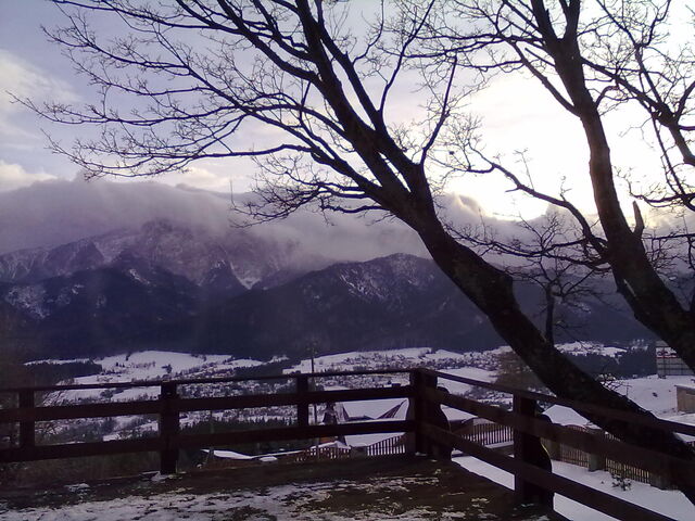 File:06012011108.jpg