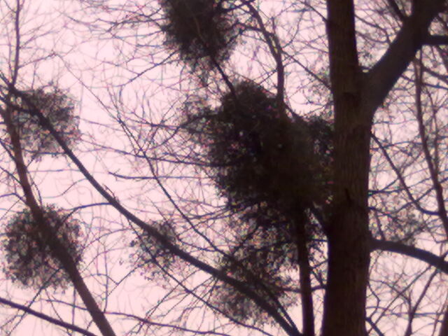 File:27042010152.jpg