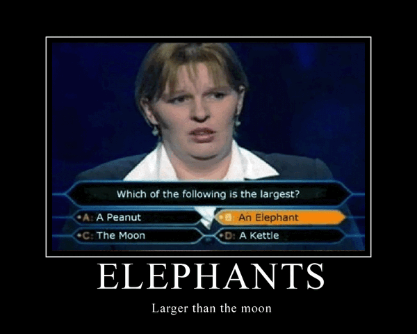 File:Elephantsbiggerthenthemoon.gif