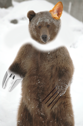 File:Panic Auron Bear.png