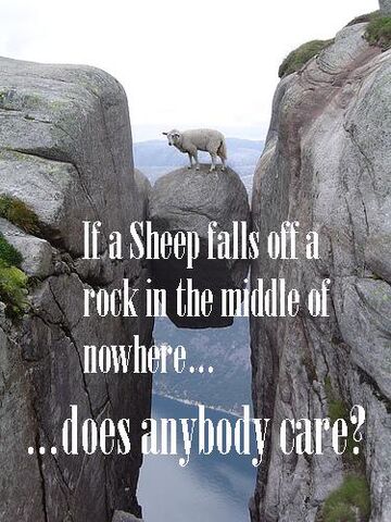 File:Sheep Fail.jpg
