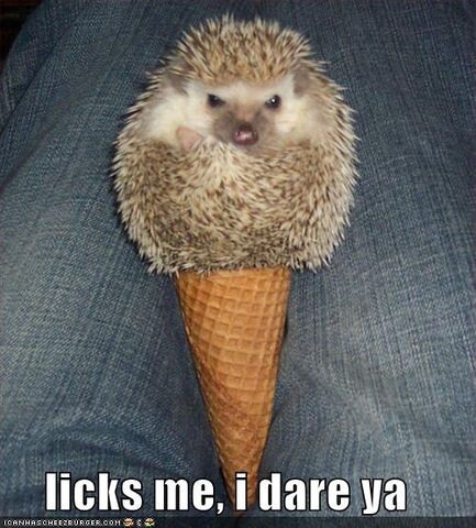 File:Want some ice cream.jpg