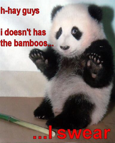File:Panda.jpg