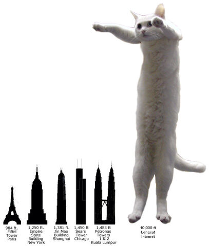 File:Longcat Comparison.jpg