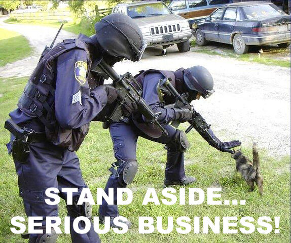 File:Srsbusiness9.jpg