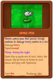 Spike Pea