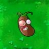 Cofeno Bean