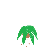 Hch