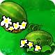 Imagesspringmelon