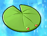 Giant Lily