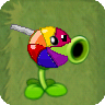Lolli Pea