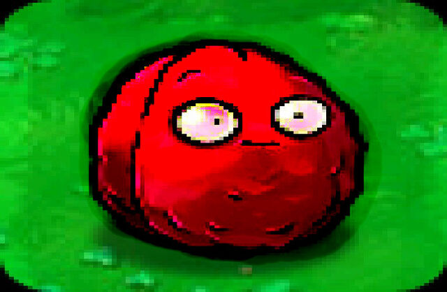 File:Ghost Nut.jpg