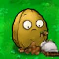 File:Digwalnut.jpg