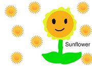 Another Sunflower drawing