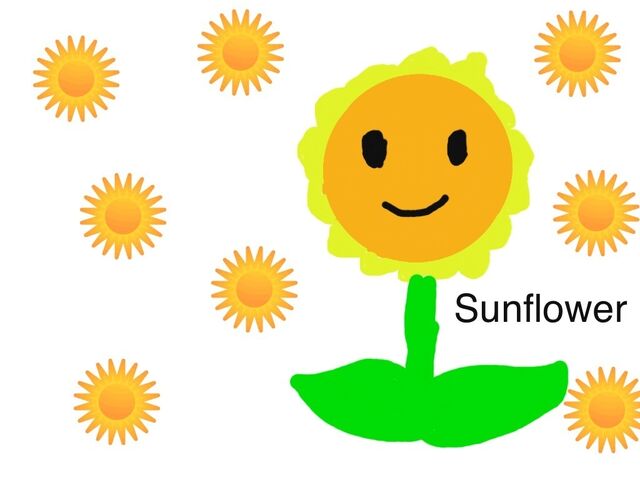 File:Another Sunflower drawing.jpg