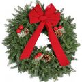 Thumbnail for version as of 11:47, December 21, 2011