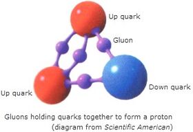 Gluon.jpg