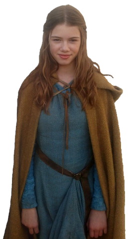File:Conner Dwelly Transparency.png