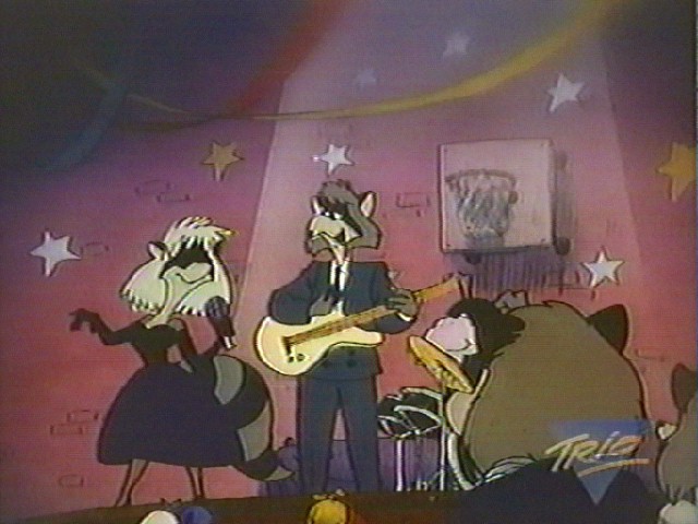 File:Raccoon band.jpg