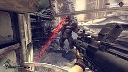 Images (14)7