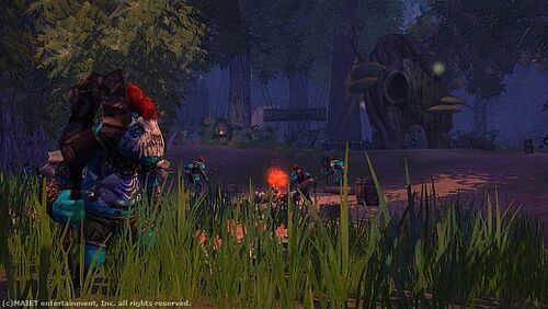 Raiderz 9